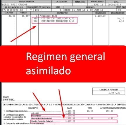 regimen general asimilado caracteristicas